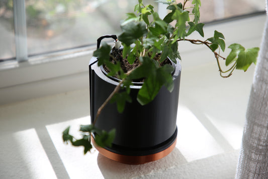 Solar Planter