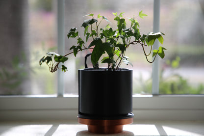 Solar Planter