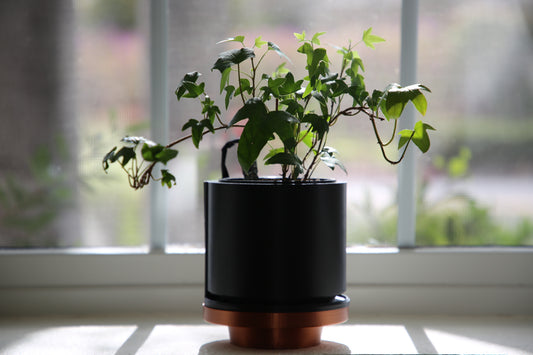 Solar Planter